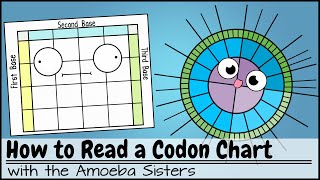 How to Read a Codon Chart [upl. by Eciened406]