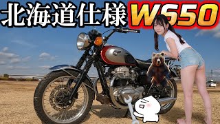 【W650改造】北海道ツーリングに最適なバイクの作り方🤤‼それと『北海道ツーリング編』の予告がメインっぽい動画です🏍ハイ´зﾉ 5月のW650北海道キャンプツーリング‼ [upl. by Ainolloppa]