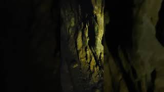 Glow worms glowworms tunnels oldmines havingfun havingfun [upl. by Oirottiv]