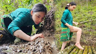 The girl alone went through hardships to find water  green forest life  Hoang Thi Mai [upl. by Viehmann]