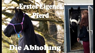 Erstes eigenes Pferd  Abholung von Junkern Beel [upl. by Notkcorb34]