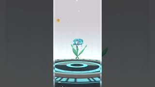 Evolving 100 IV Buddy FLOETTE to FLORGES🌼 pokemon [upl. by Inhoj859]