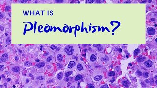 What is Pleomorphism  Pathology mini tutorial [upl. by Renaud]