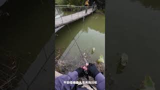 Catch of the Day Fishing at the Local Park [upl. by Slin901]