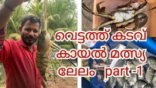 വെട്ടത്ത് കടവിലെ കരിമീൻ ലേലം part 1fish alappuzha karimeen [upl. by Nikos931]