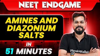 AMINES AND DIAZONIUM SALTS in 51 Minutes  NEET 2024 [upl. by Vevina]