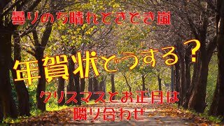 【曇りのち晴れときどき嵐】年賀状値上げ 年賀状じまいしますか？ ハルナのつぶやき [upl. by Rehctelf824]