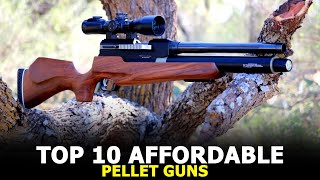 Top 10 Best Pellet Gun for Hunting  Best For The Money in 2022 [upl. by Nimaj]