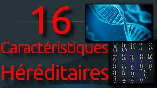 16  Les caractéristiques héréditaires [upl. by Baalbeer790]