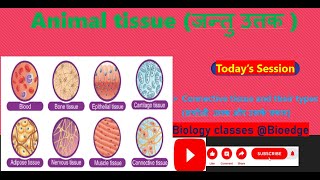 NCERT class 9 Connective tissue and their types सयोजी उत्तक और उनके प्रकार [upl. by Elidad]