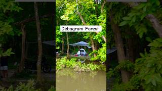 Camping at Debagram Forest camping debagram forest ytshorts ytshort reels banglavlog travel [upl. by Aihsenyt651]