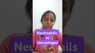 phagocytosis physiology class mbbs1styear physiologyvideos physiologylectures [upl. by Avlem]