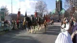 Barrys Hallamore Clydesdale Horses in Parade [upl. by Cicenia]