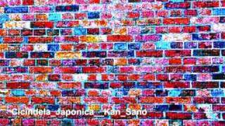 Kan Sano  Key  quotCicindela Japonicaquot [upl. by Artkele]