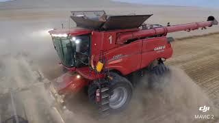 Case IH 9250 axial flow [upl. by Allmon204]