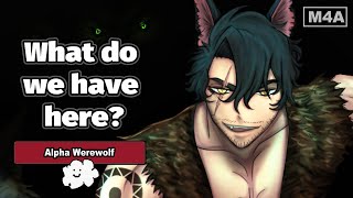 Alpha Werewolf and Brothers Tries to Devour their Defenseless Prey x Listener  M4A ASMR Roleplay [upl. by Haase]