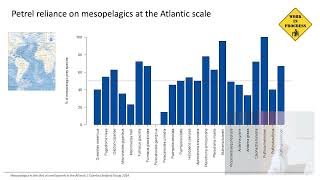 The importance of mesopelagics in the diet of pelagic seabirds in the Atlantic Ocean [upl. by Delastre]