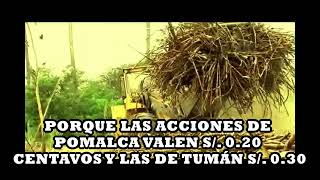 PORQUE LAS ACCIONES DE POMALCA VALEN S 020 CENTAVOS Y LAS DE TUMÁN S 030 [upl. by Nareht]