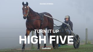 Turn It Up Is Back For His Fifth Tilt At The Ladbrokes Blacks A Fake [upl. by Nirrek]