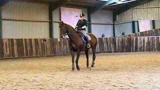 dressage School Master lesson on Humble PieNo II [upl. by Nylsoj]