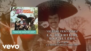 Vicente Fernández  La Muerte de un Gallero Cover Audio [upl. by Annoit]