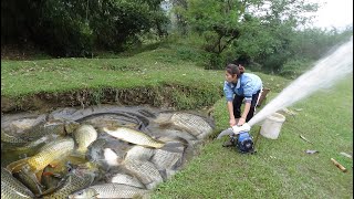 Full Video Fishing Techniques How to Fishing in The Wild Harvesting Many Big Fish  Girl Fishing [upl. by Aehtla789]