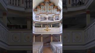 Top 5 most famous Bach Organ Piece music [upl. by Naillimixam879]