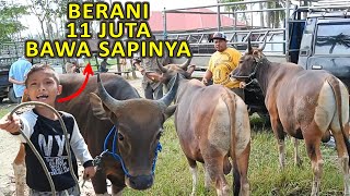 10 JUTAAN  HARGA SAPI JANTAN DI PASAR KAMIS [upl. by Irovi635]