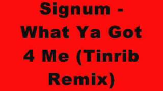 Signum  What Ya Got 4 Me Captain Tinrib Remix [upl. by Asiret617]