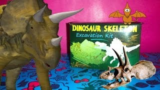 Dinosaur Skeleton  Excavation Kit  dig out your own dinosaur Exploration for kids TheSurpriseEggs [upl. by Eedya]