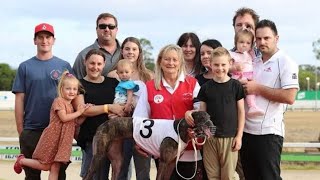 We had two semifinals of the Group 3 Brian Johnstone series last night 730m greyhounds Race South [upl. by Nicola146]