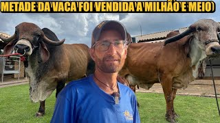 ROTINA NA FAZENDA COM ANIMAIS DE MILHÕES  TAMBURIL [upl. by Aciretal364]