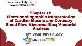 Electrocardiographic Interpretation of Cardiac Muscle and Coronary Blood Flow Chapter 12  Heart [upl. by Luing]