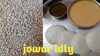 Jowar idli recipe in telugujonna idly millets breakfastjonnallu recipe [upl. by Florinda]