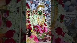 Vel vel Velmuruga 🙏❤️ Murugan velmurugan murugan velmurugaharohara shorts devotional [upl. by Verile397]