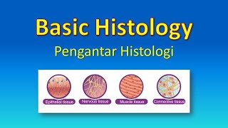 Basic Histology  Pengantar Histologi [upl. by Leva]