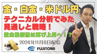 【金相場・白金相場、ドル円】金価格は米長期金利の低下とドル安で買い優勢！白金相場も堅調推移！今後のポイントは！？＜タイムサイクル分析でみた見通しと戦略＞ 20241108配信 [upl. by Ainoyek460]