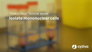 Ficoll™ density gradient media tutorial How to isolate mononuclear cells [upl. by Jariv]