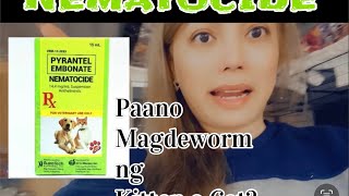 PAANO MAG DEWORM NG KITTEN O CAT  NEMATOCIDE pang deworm  CatVlog 68 deworm cat kitten [upl. by Neenad]