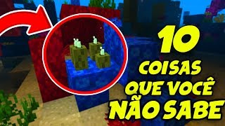 10 COISAS QUE VOCÊ NÃO SABIA SOBRE OS PEPINOS DO MAR NO MINECRAFT [upl. by Ennovy]