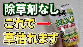 【安全安心】体に良い物だけで作った除草剤で雑草は枯れるのか実験してみた [upl. by Nye533]