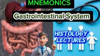 Gastrointestinal System Histology lecture  45 Esophagus Histology  Esophagus Histology [upl. by Demha]