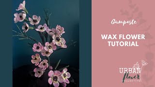 How to make a gumpaste  sugar Wax Flower Chamelaucium an easy filler flower tutorial [upl. by Inal184]