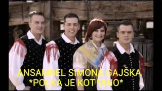 ANSAMBEL SIMONA GAJŠKA  POLKA JE KOT VINO [upl. by Schmeltzer]