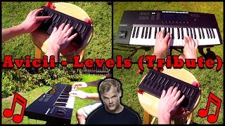 Avicii  Levels Avicii TributePiano Cover [upl. by Fein]