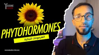 الهرمونات النباتية  Phytohormones [upl. by Lattie]