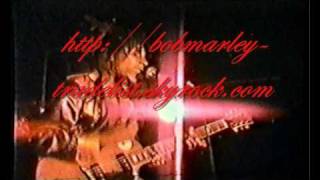 Bob Marley and The Wailers  On Tour  19731980 by Reggaeman91 [upl. by Lyrahs]