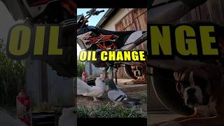 doglover oilchange ktm ktm690 ktmloverktm supermotolife mechaniclife mechanic motorex [upl. by Zadack739]