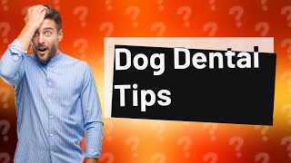 How can I treat my dogs teeth naturally [upl. by Areic273]