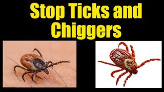 Prevent Ticks and Chiggers on Body and Yard [upl. by Vod]